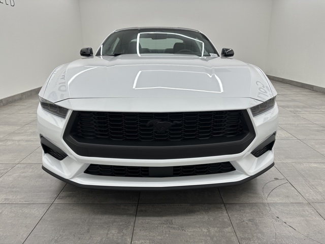 2025 Ford Mustang EcoBoost photo 5