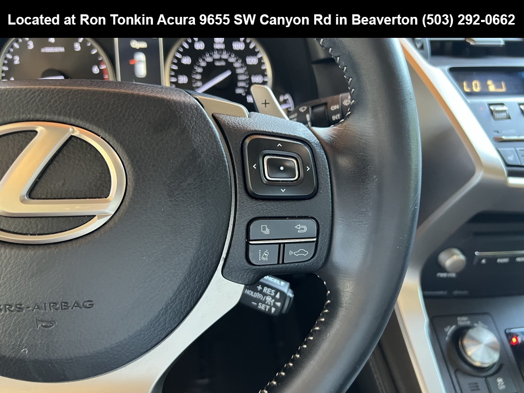 2018 Lexus NX 300 Luxury photo 15