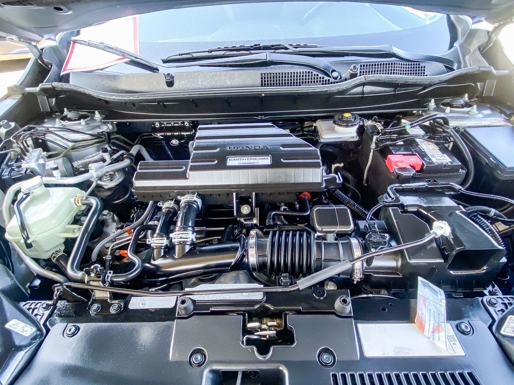 View 27
