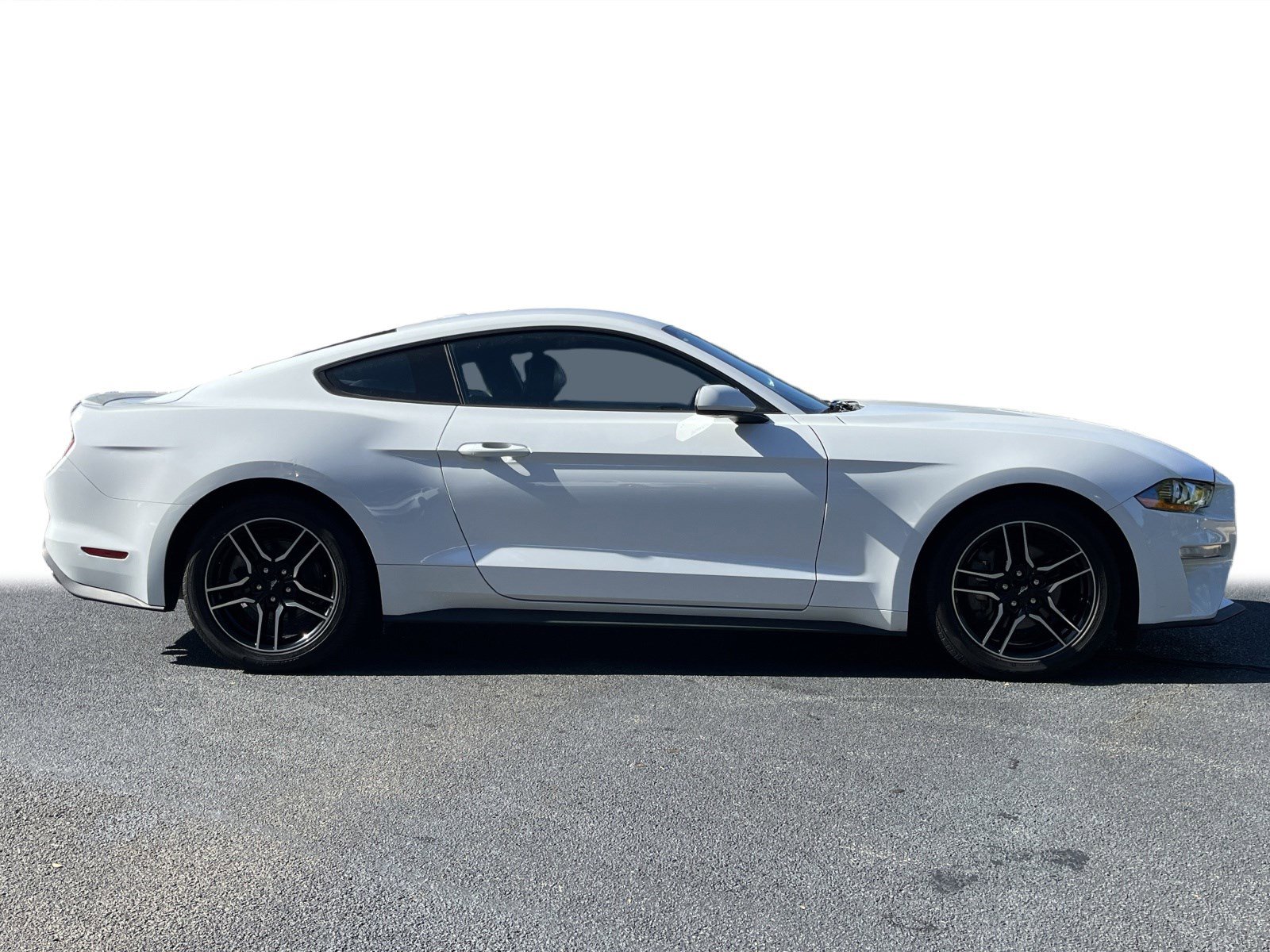 2023 Ford Mustang EcoBoost Premium photo 12