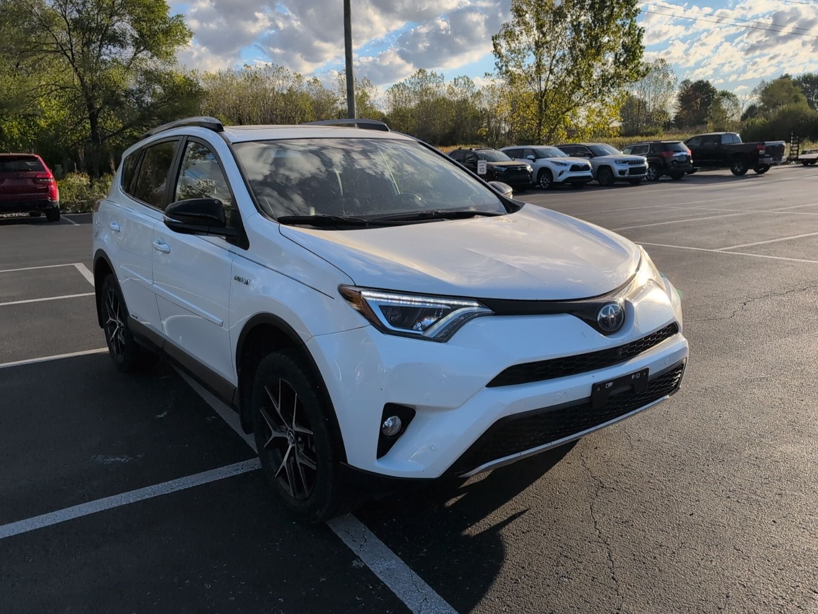 2018 Toyota RAV4 Hybrid SE photo 7