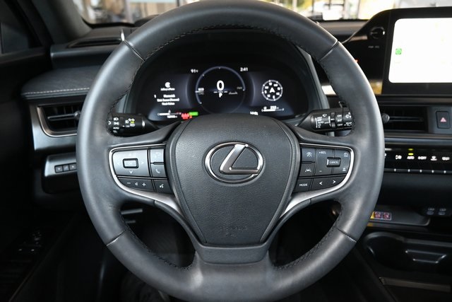 2025 Lexus UX F SPORT Design photo 23