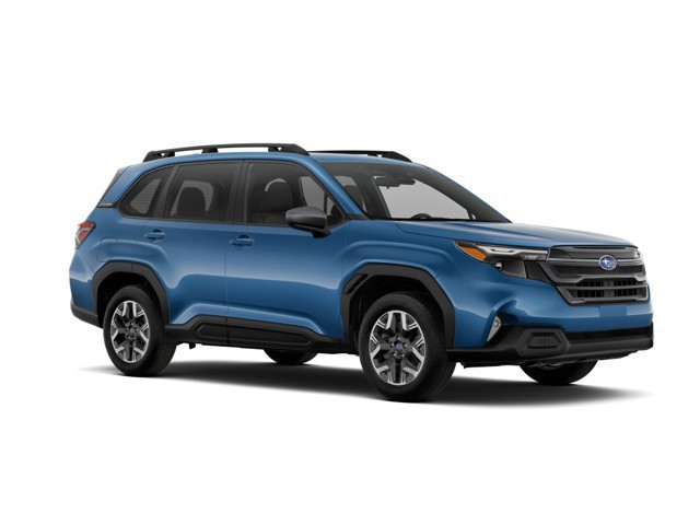 Does Blue Pearl Offer Payment Plans: Explore Your Options