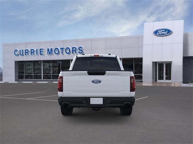 2025 FORD F-150 - Image 35
