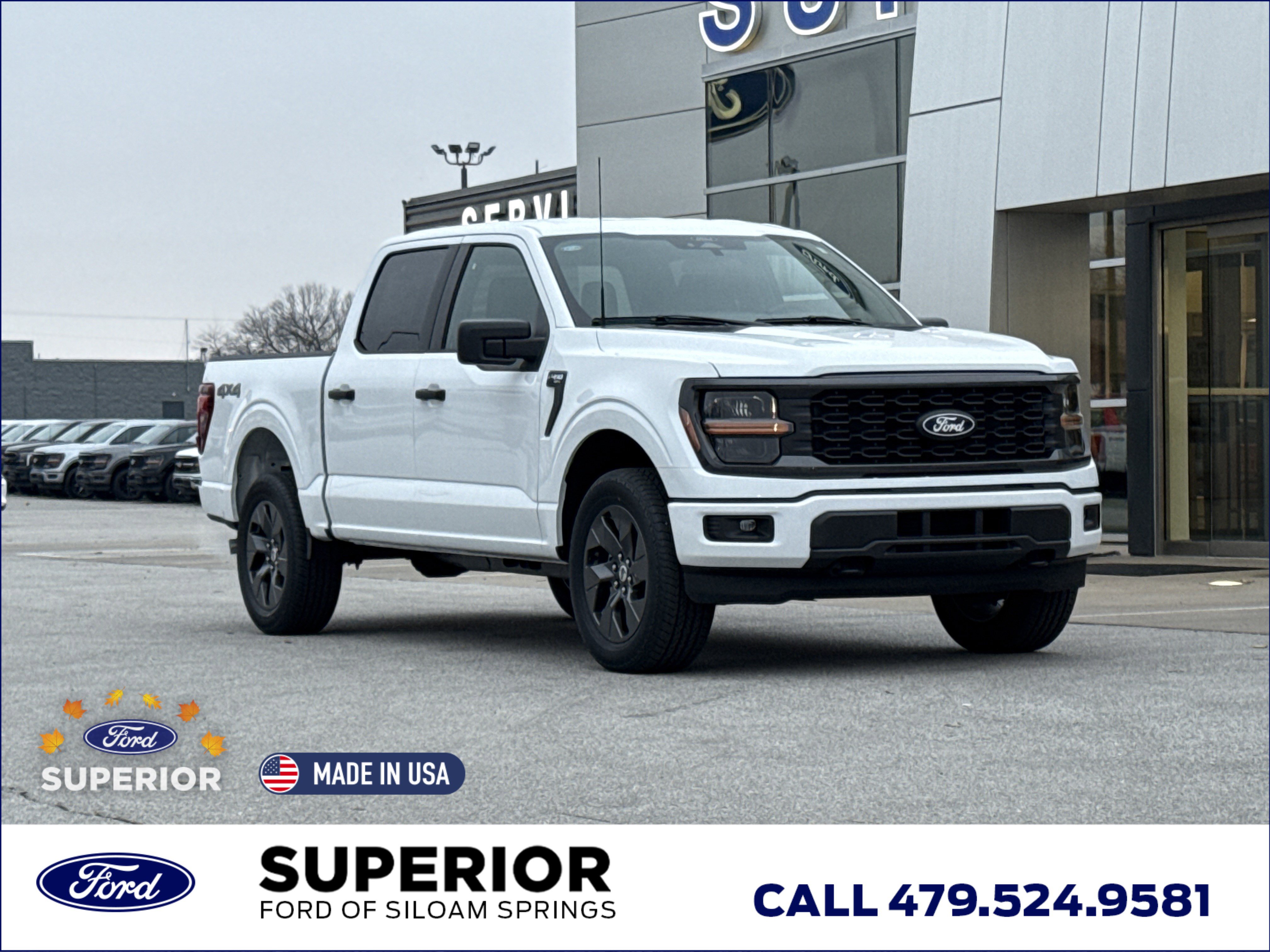 2025 Ford F-150 STX's photo
