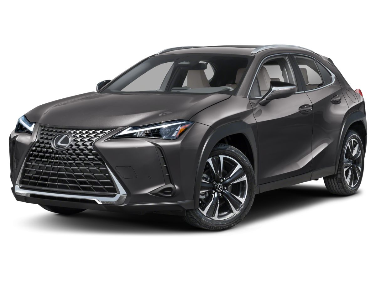 2025 Lexus UX photo 14
