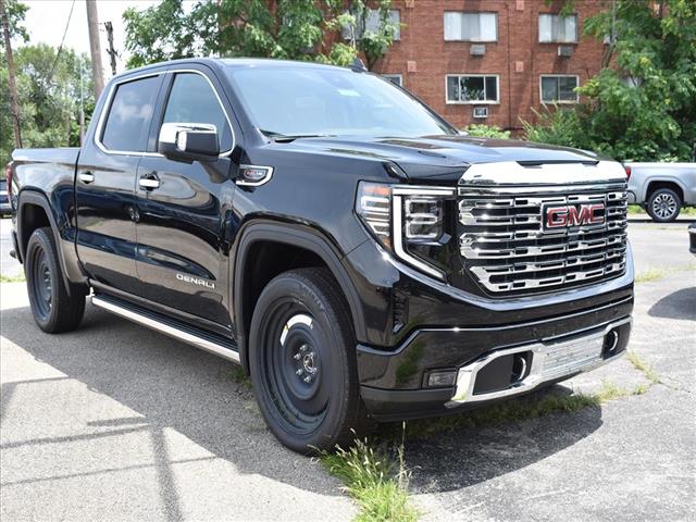 2025 Gmc Sierra 1500 Denali photo 3