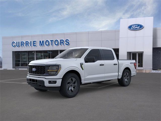 2025 Ford F-150 STX's photo