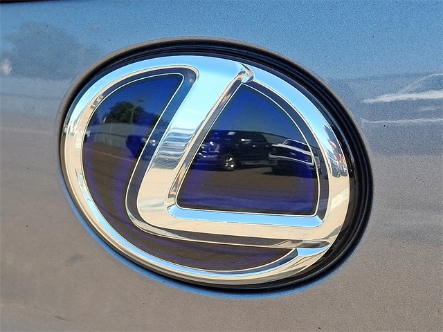 2019 Lexus UX 250h photo 27