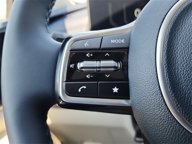2026 Kia Carnival SX Prestige photo 22