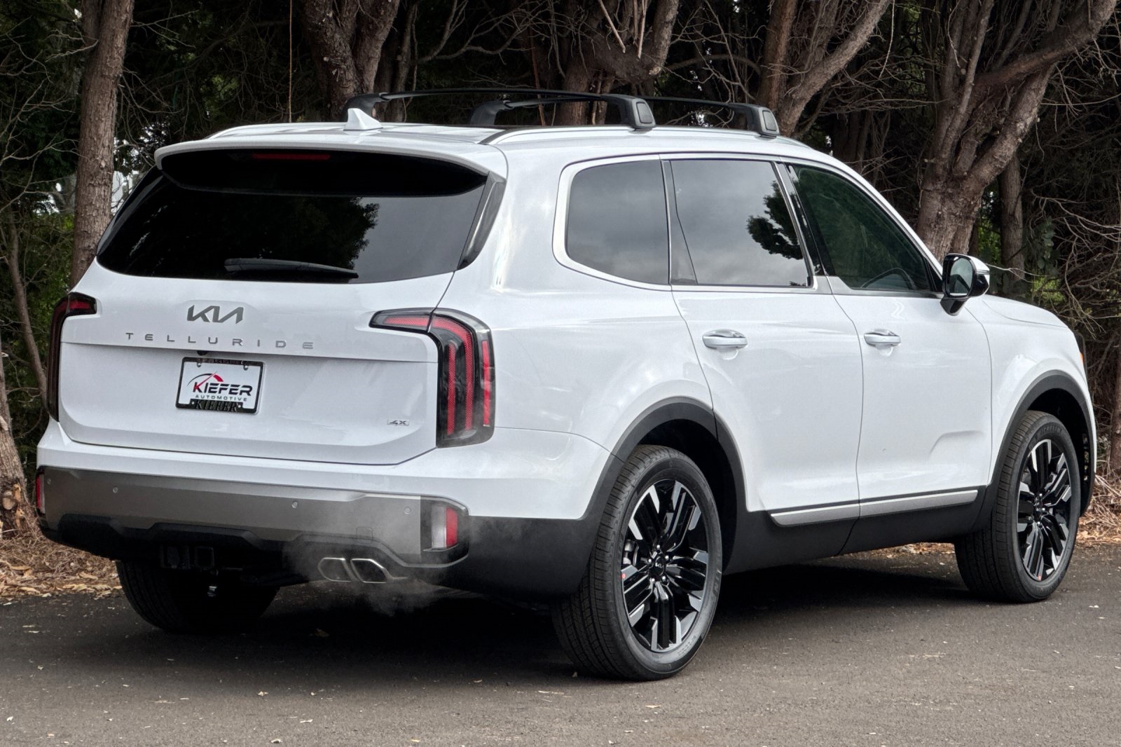 2025 Kia Telluride SX Prestige photo 2