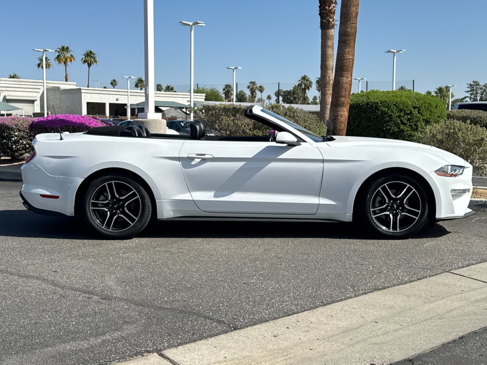 2022 Ford Mustang EcoBoost Premium Convertible photo 2