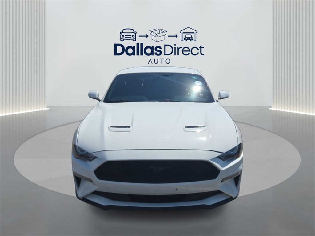 2019 Ford Mustang EcoBoost photo 3