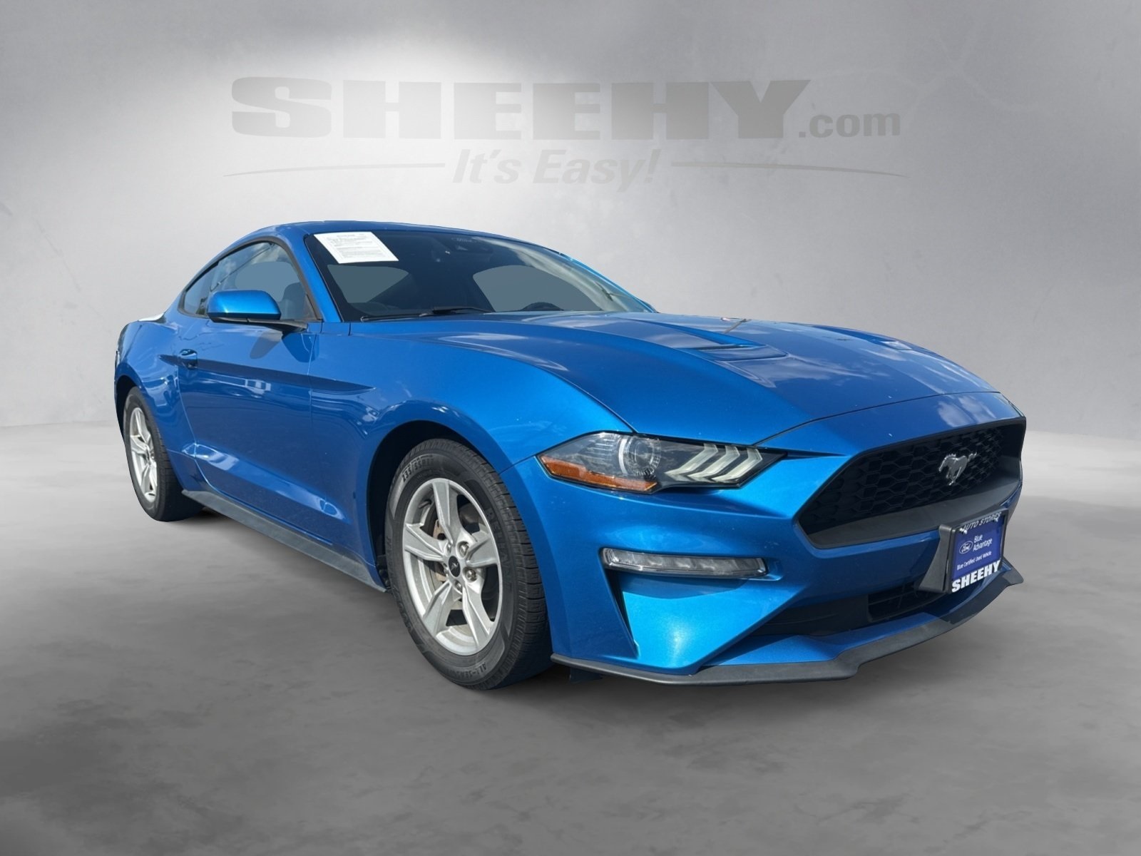 2021 Ford Mustang EcoBoost photo 2