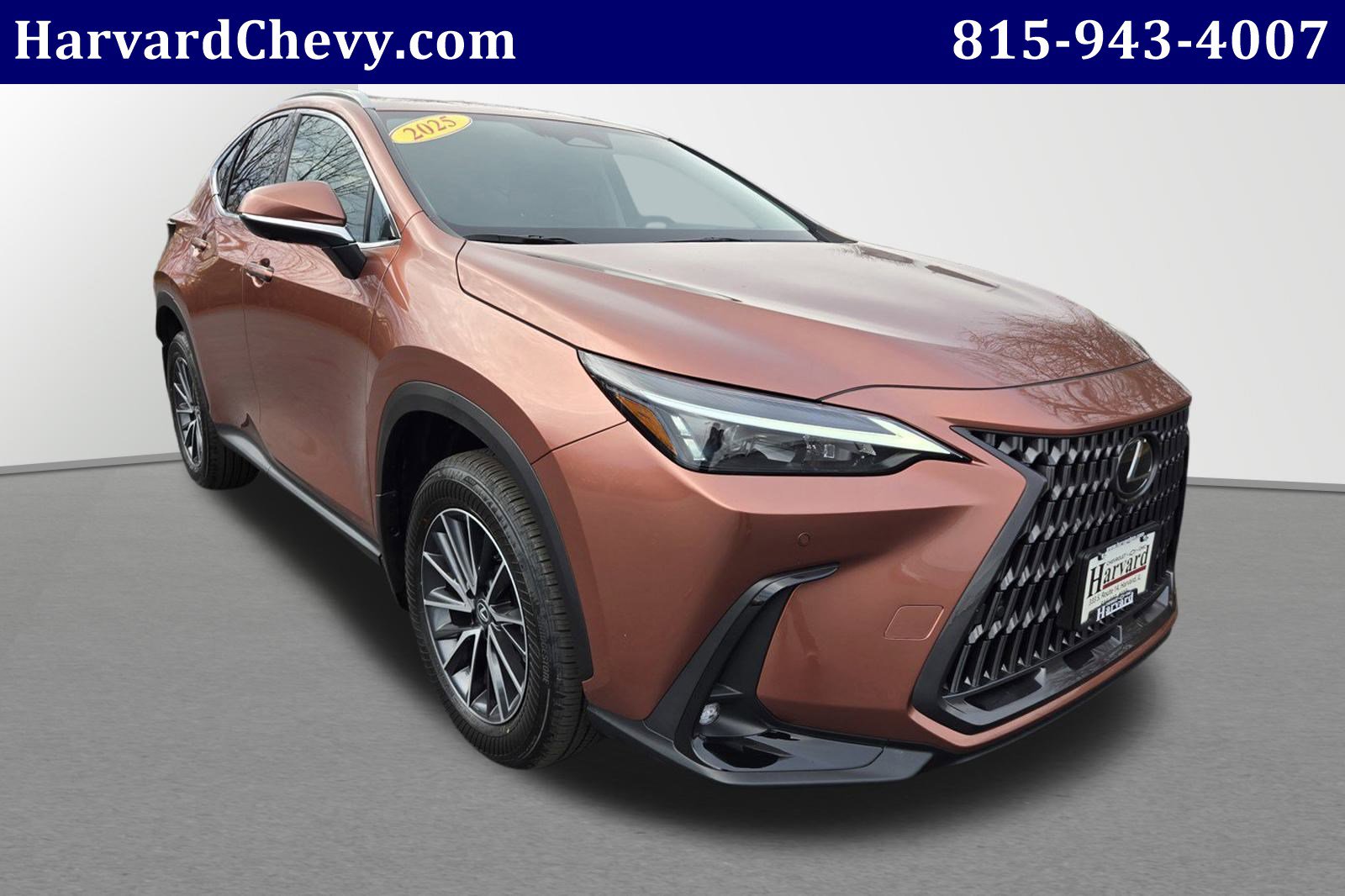 2025 Lexus NX 350's photo