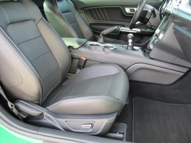 2019 Ford Mustang GT Premium photo 10