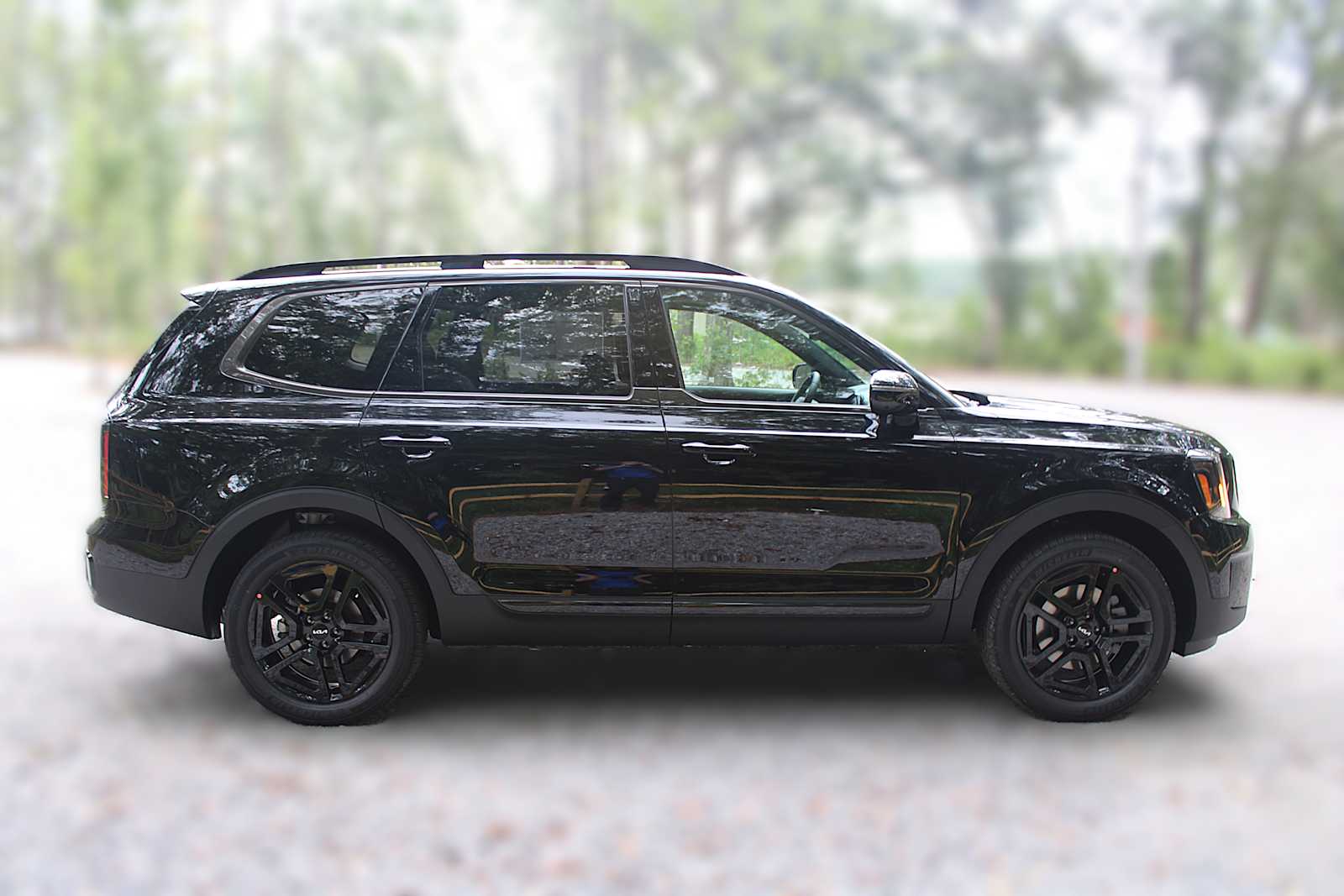 2025 Kia Telluride SX Prestige X-Line photo 11