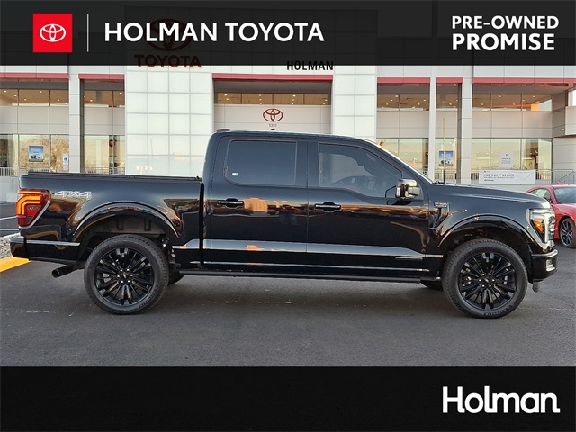 2025 Ford F-150 Platinum's photo