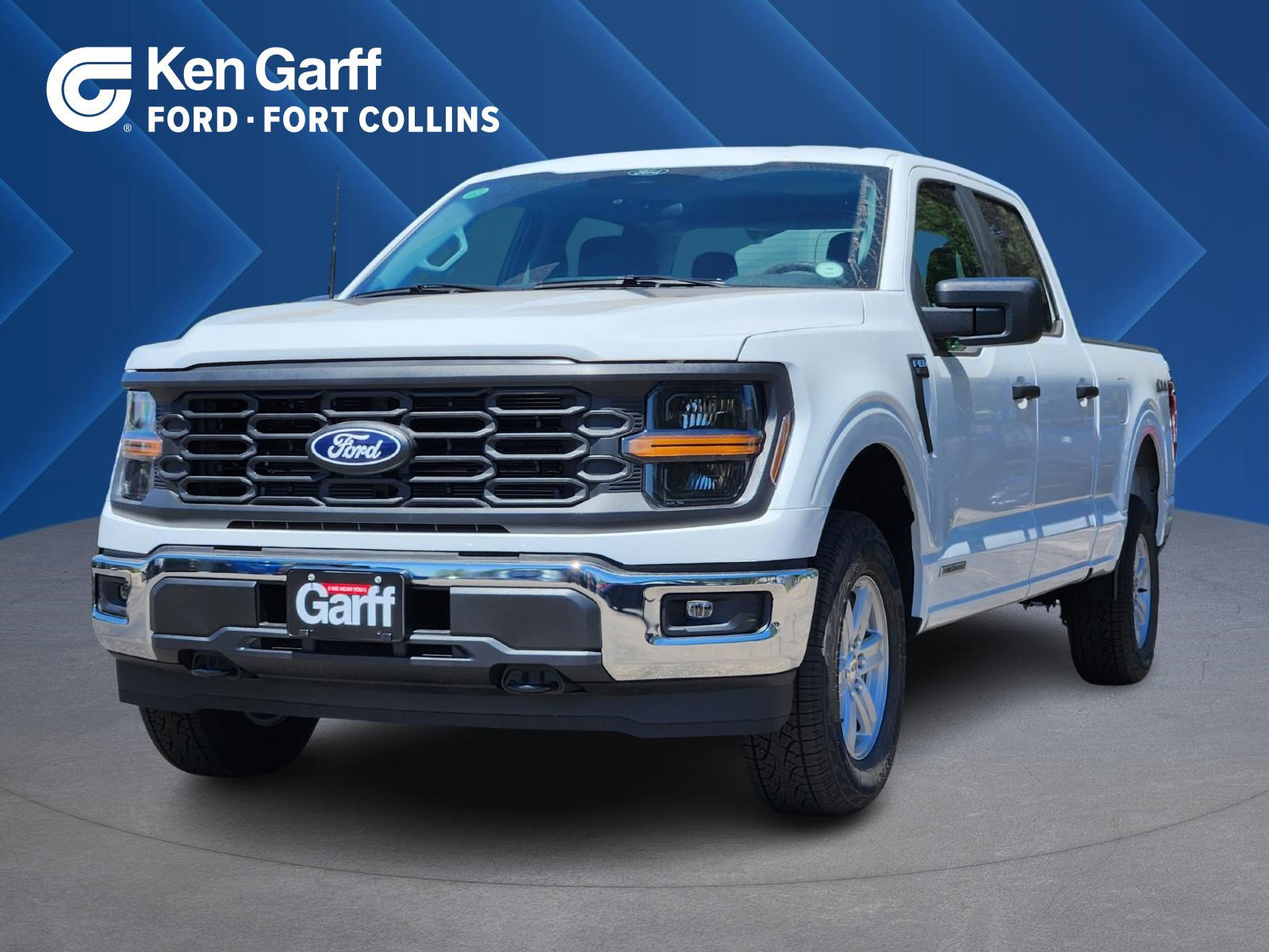 2025 Ford F-150 XL's photo