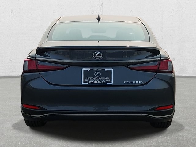 2025 Lexus ES 300h F SPORT Design photo 6