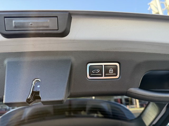2023 Kia Sorento SX photo 9