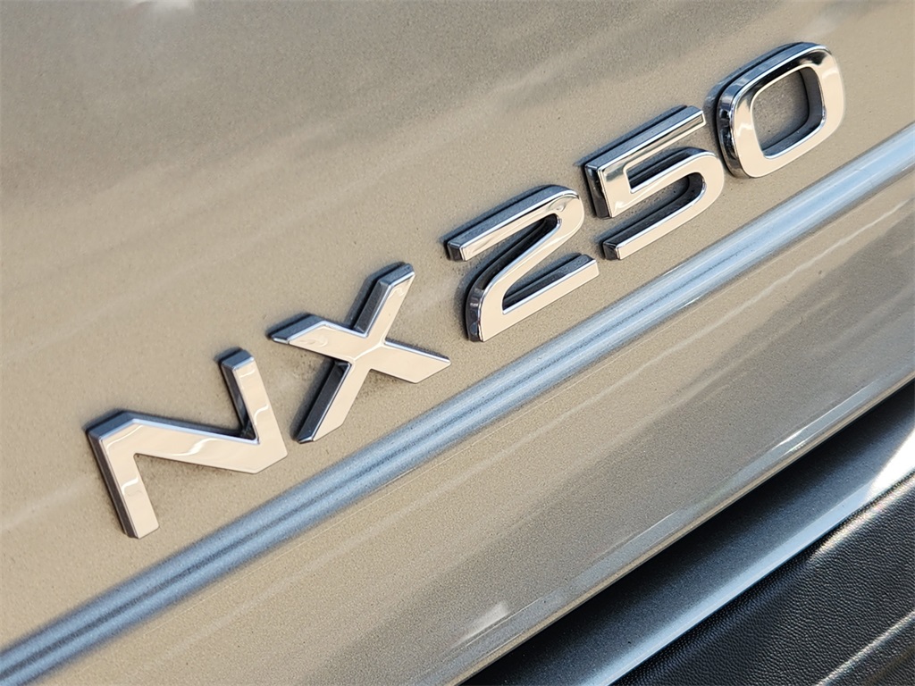 2023 Lexus NX 250 Premium photo 11