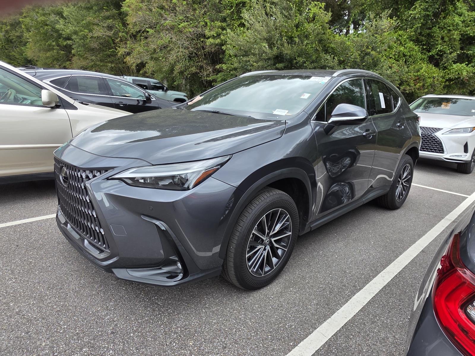 2024 Lexus NX 350 Premium photo 4