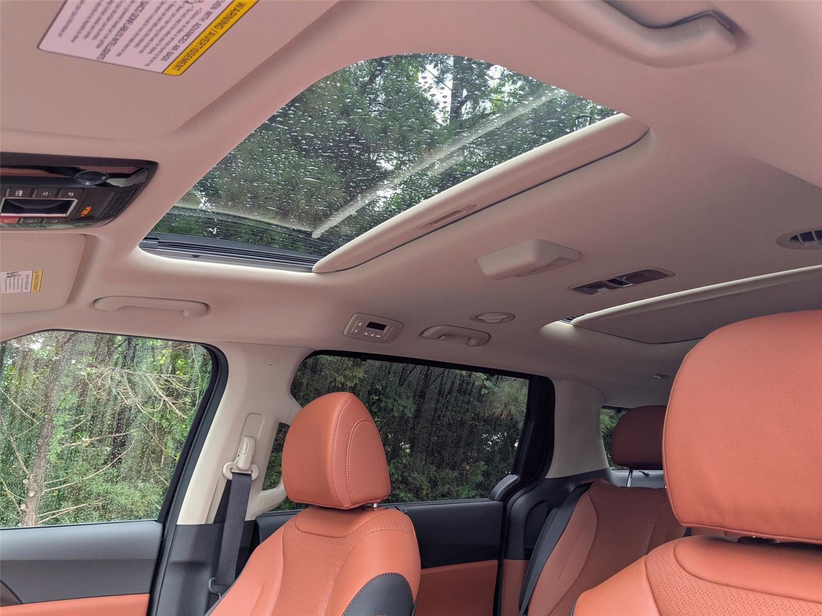 2025 Kia Carnival SX photo 15