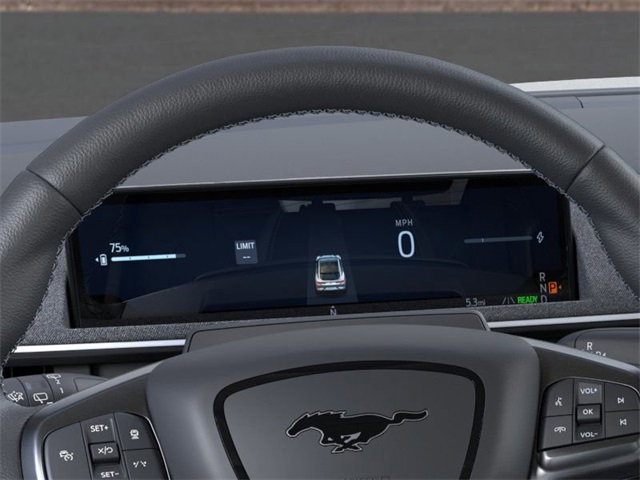 2025 Ford Mustang Mach-E GT photo 12