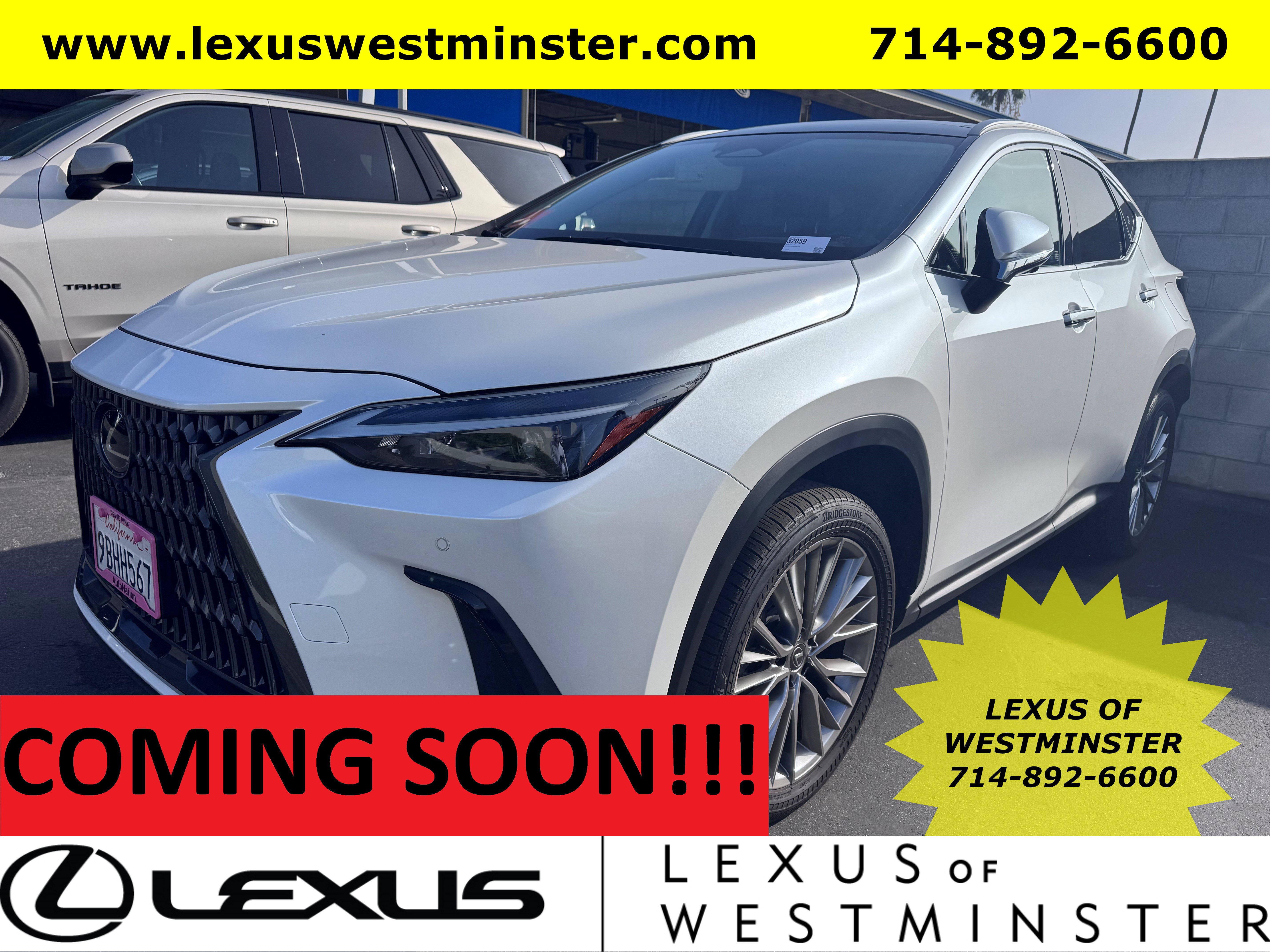 2022 Lexus NX 350's photo
