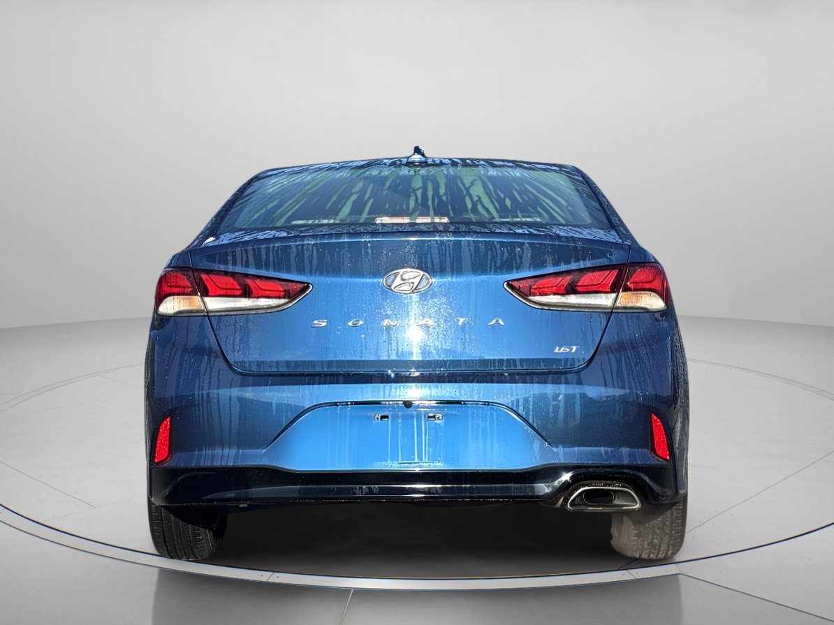 2019 Hyundai Sonata Eco photo 4