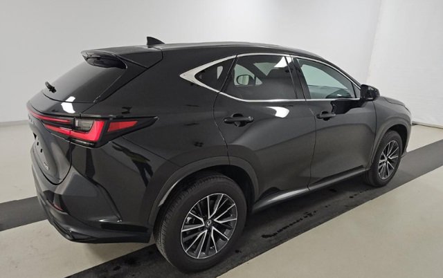 2024 Lexus NX 250 Premium photo 2