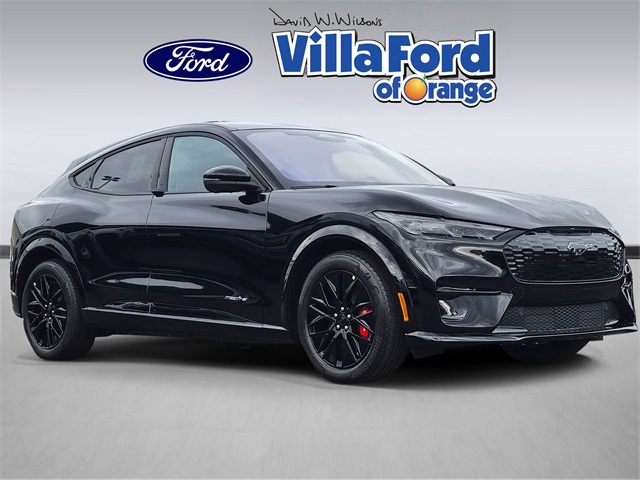 2025 Ford Mustang Mach-E Premium RWD's photo