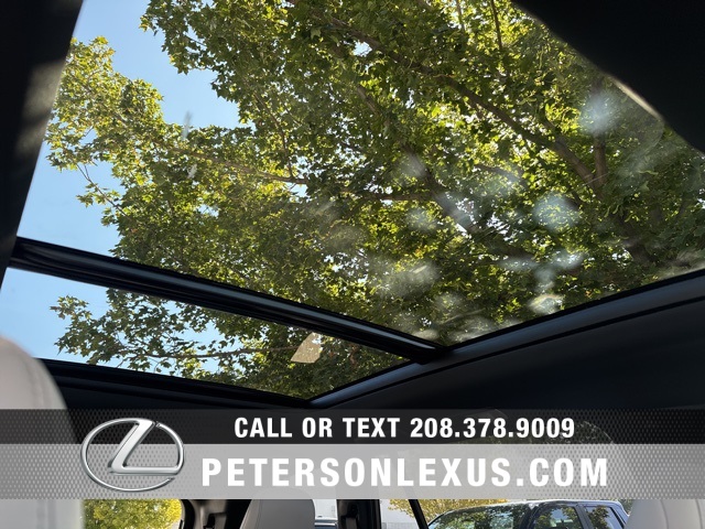 2025 Lexus TX 350 Luxury photo 11