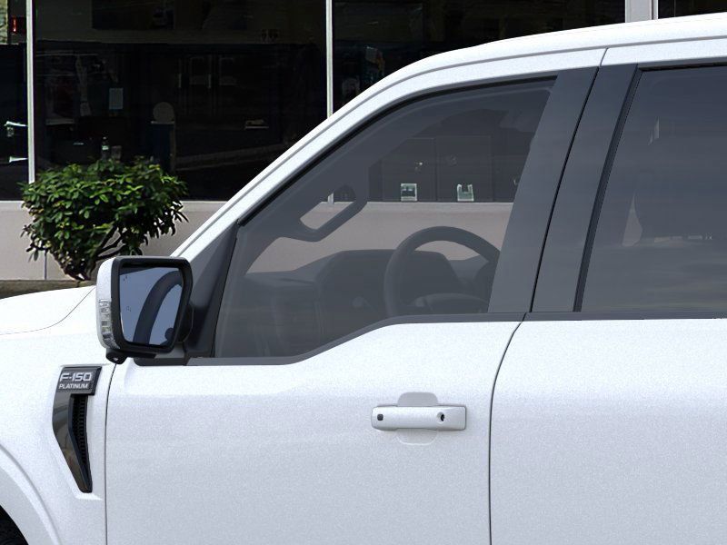 2025 Ford F-150 Platinum photo 20