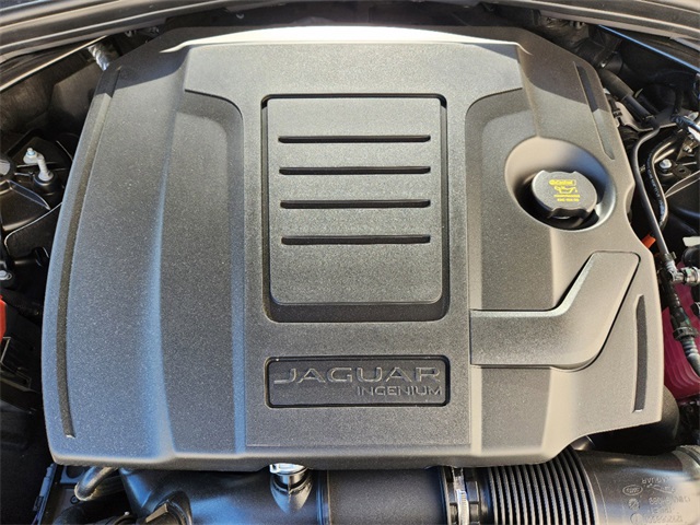 2026 Jaguar F-PACE P250 R-Dynamic S photo 18