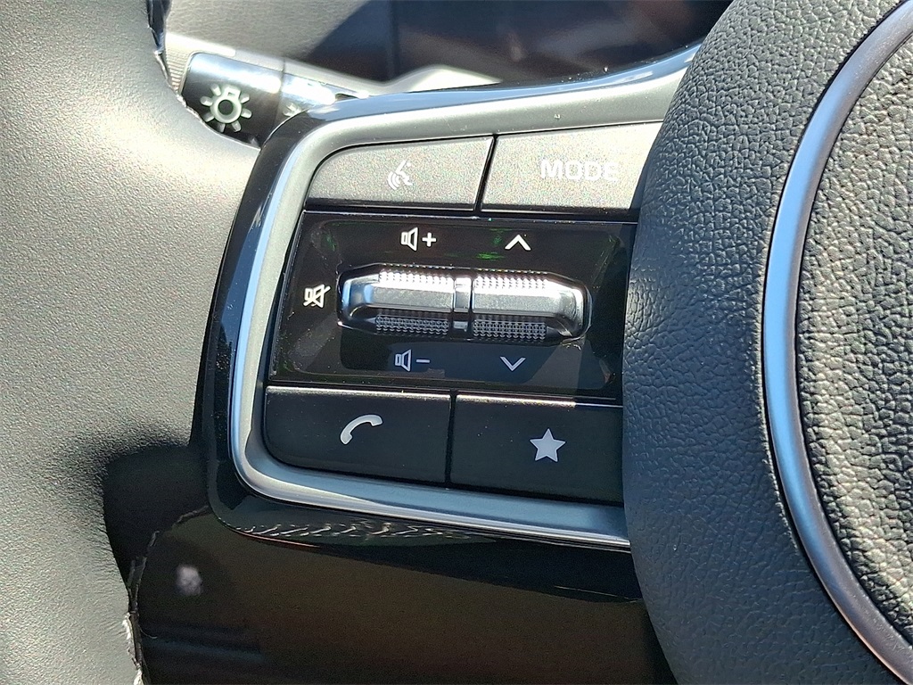 2025 Kia Sorento X-Line SX Prestige photo 17