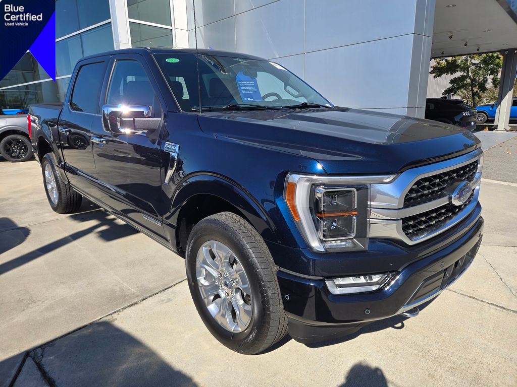 2023 Ford F-150 Platinum's photo
