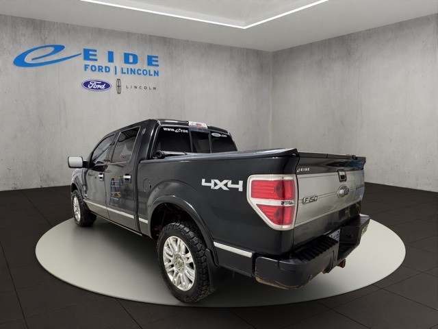 2014 Ford F-150 Platinum photo 2