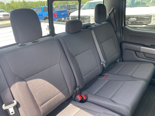 2025 Ford F-150 XLT photo 8