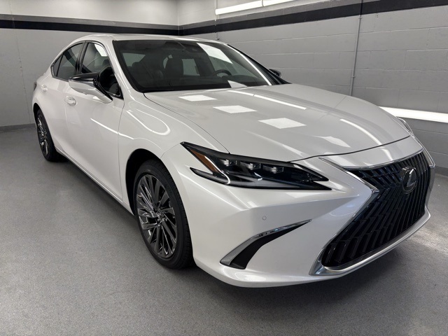 2025 Lexus ES 300h Luxury photo 3