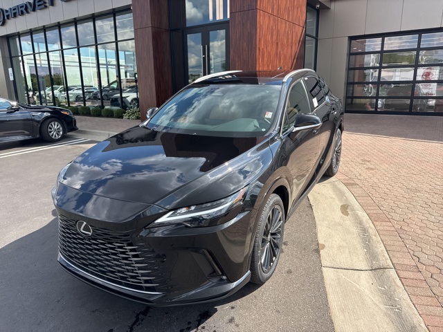 2025 Lexus RX 350 Premium photo 16