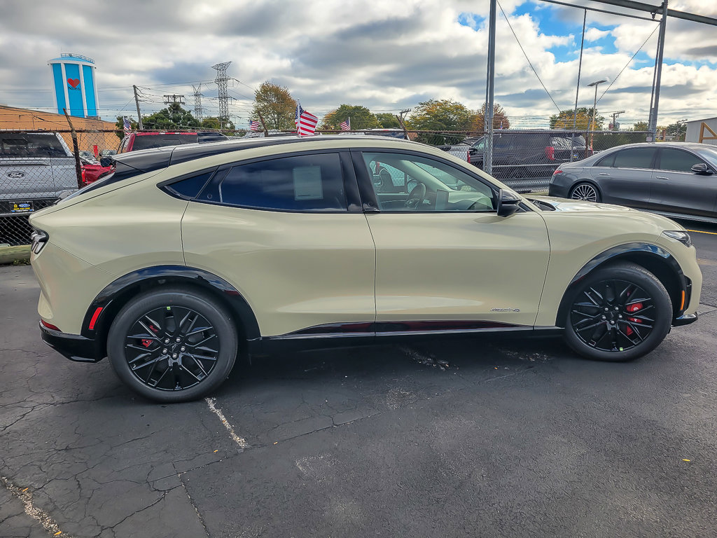 2025 FORD MUSTANG MACH-E - Image 10