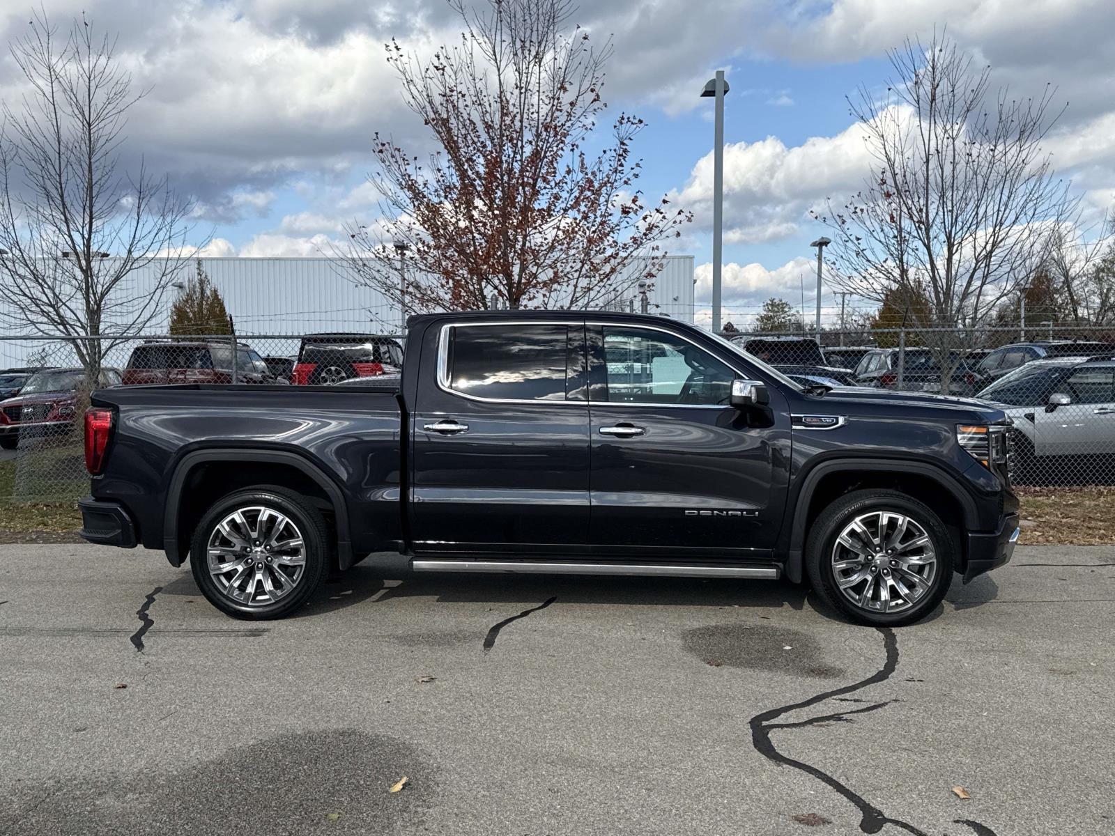 2023 Gmc Sierra 1500 Denali photo 4