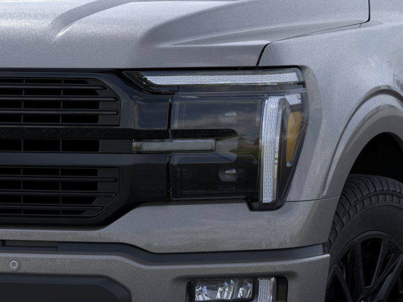 2025 Ford F-150 Platinum photo 14