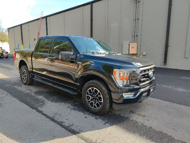 2022 Ford F-150 XLT's photo