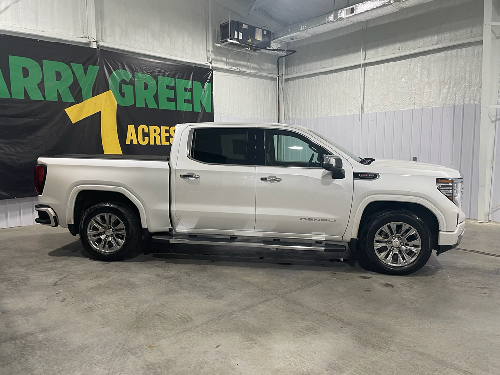 2022 Gmc Sierra 1500 Denali photo 4