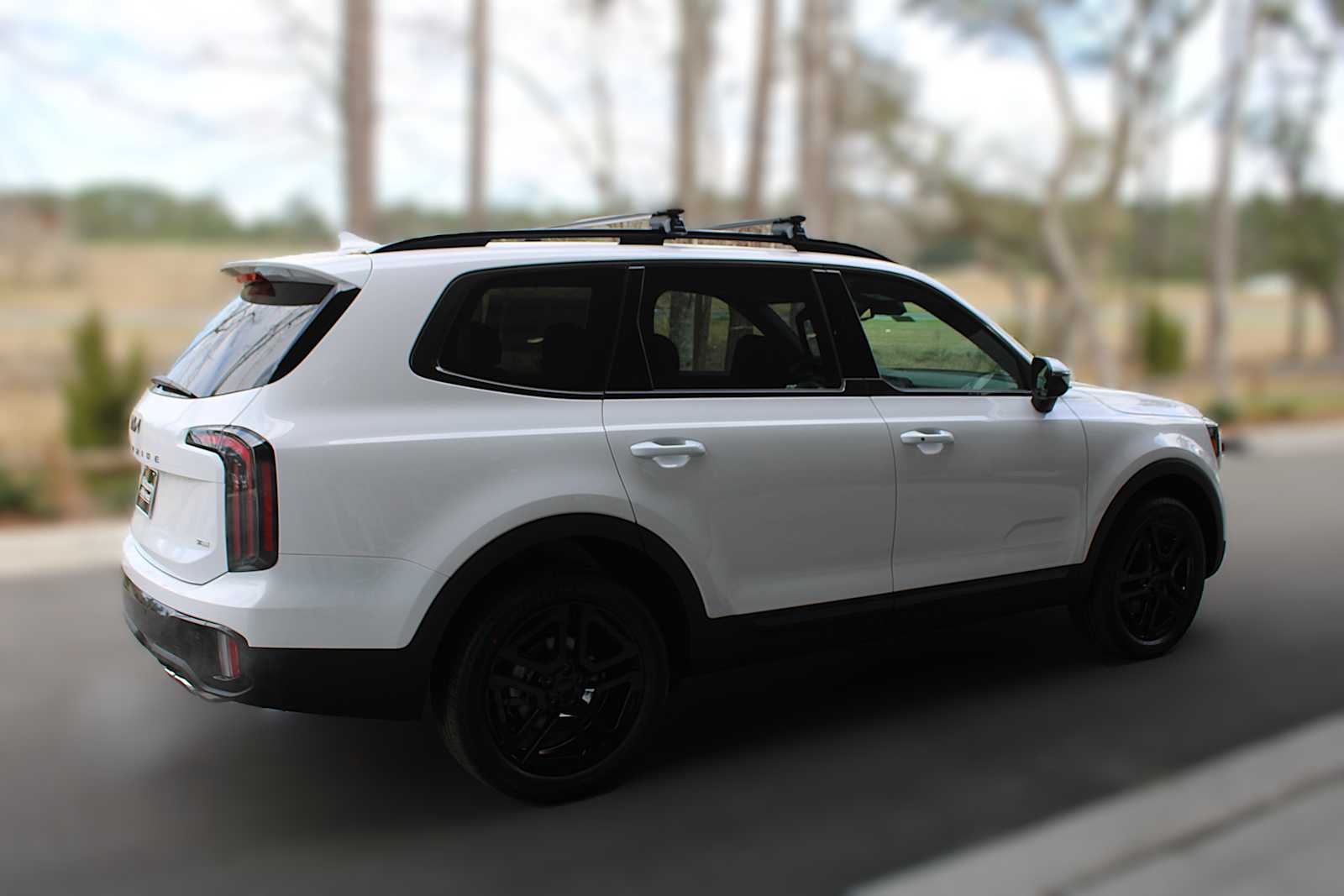 2025 Kia Telluride EX X-Line photo 11