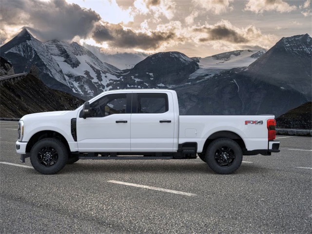 2025 Ford F-350 photo 3