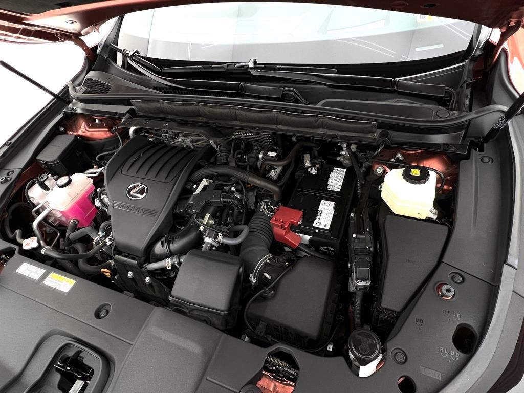 2024 Lexus RX 350 Premium photo 29